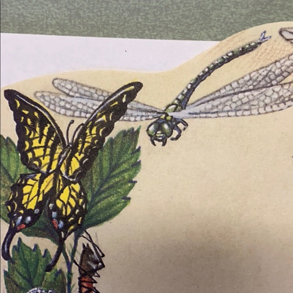 Meet your Posher, Sheri - Picture 1 of 1